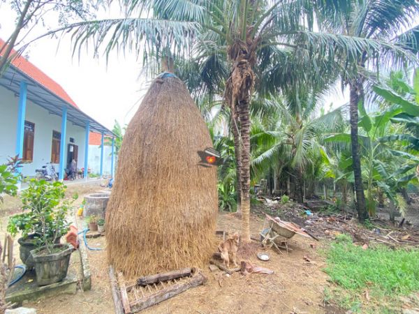 Private Tour Explore Real Countryside Of Nha Trang